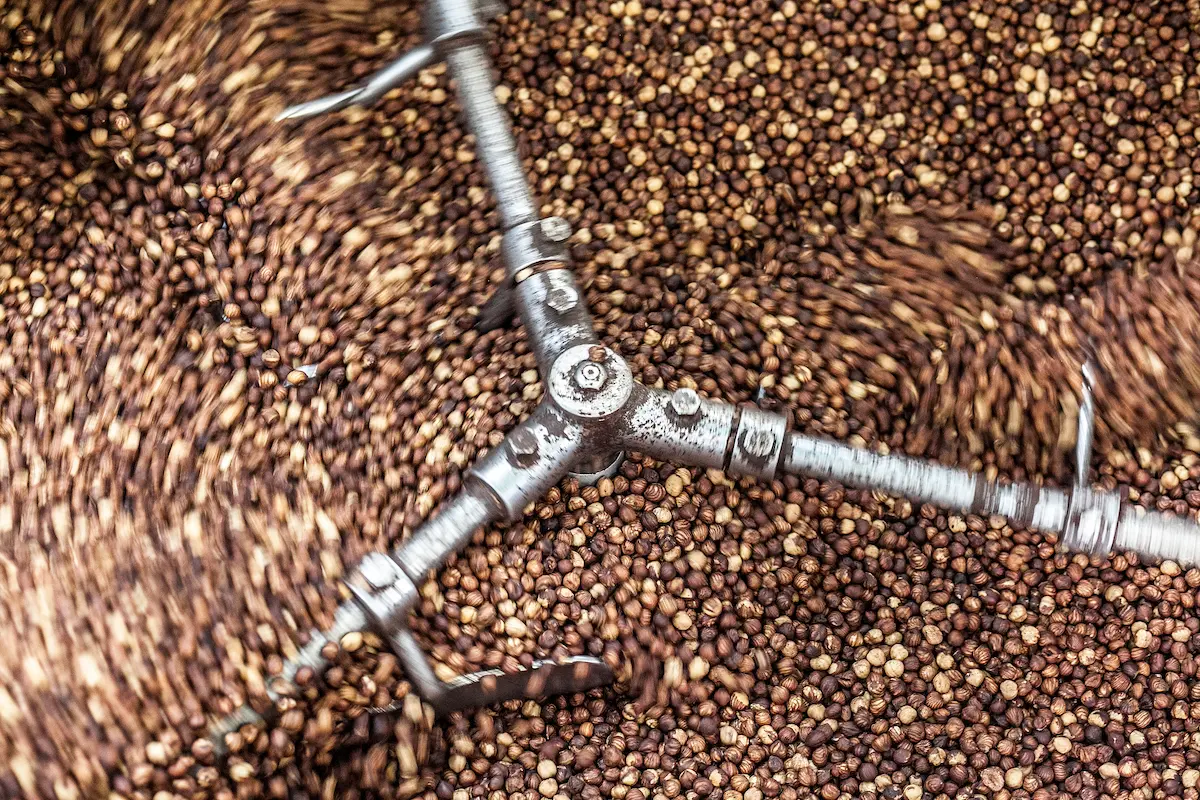 Hazelnut spread production