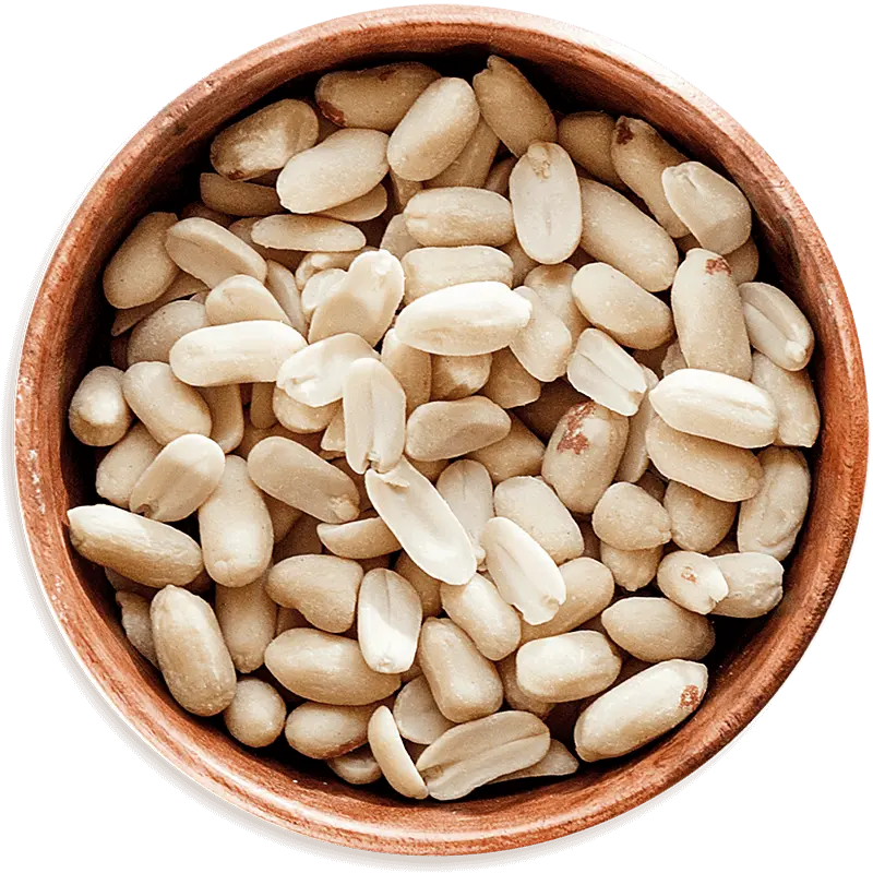 Bowl full of peanuts